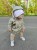 IMG_20220516_214350_513.jpg