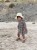 image00006.jpeg